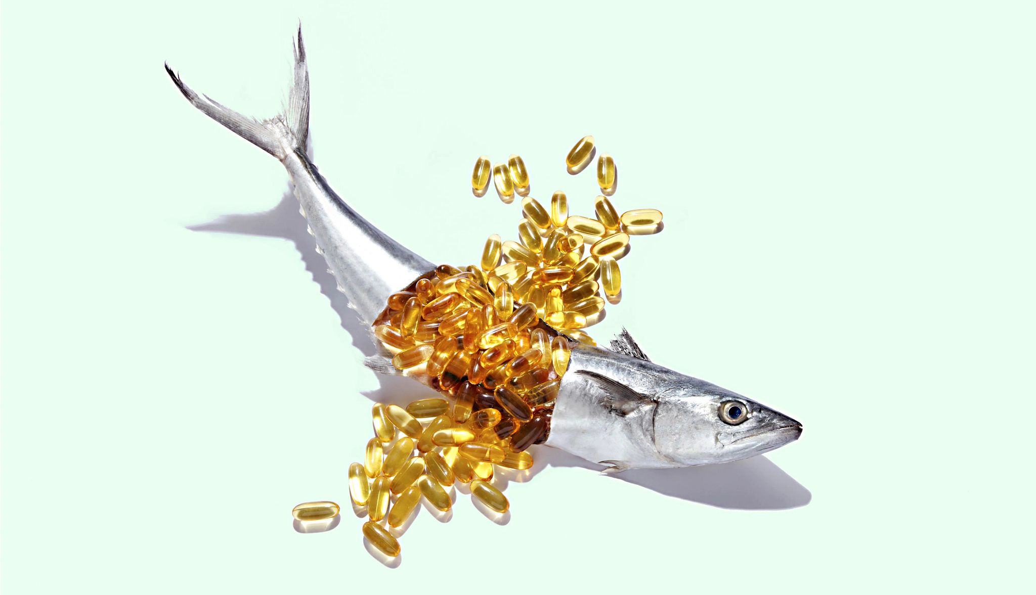 The Benefits of Omega Fatty Acids for Pets